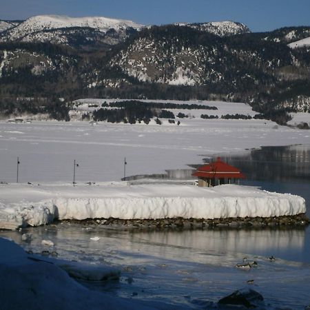Apartement Mirador Du Fjord L'Anse-Saint-Jean Luaran gambar