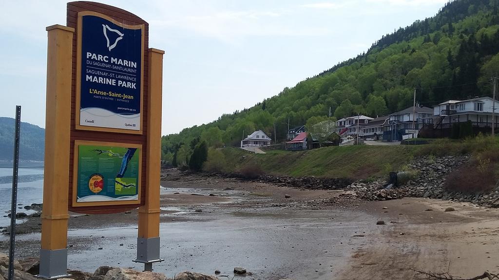 Apartement Mirador Du Fjord L'Anse-Saint-Jean Luaran gambar