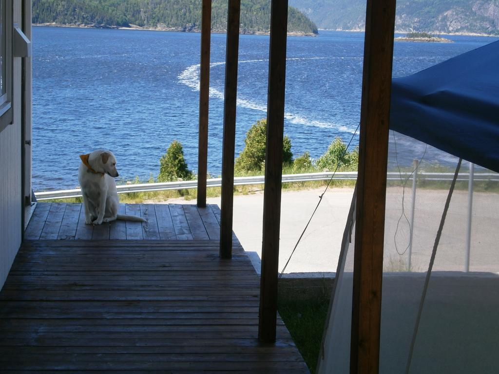 Apartement Mirador Du Fjord L'Anse-Saint-Jean Luaran gambar